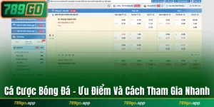 Cá cược bóng đá 789Go