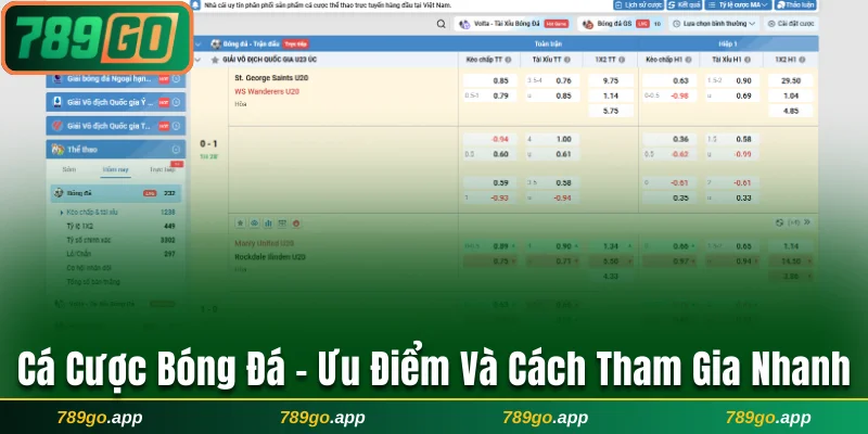Cá cược bóng đá 789Go
