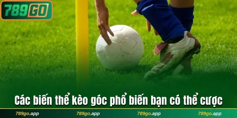 Các biến thể kèo góc phổ biến bạn có thể cược