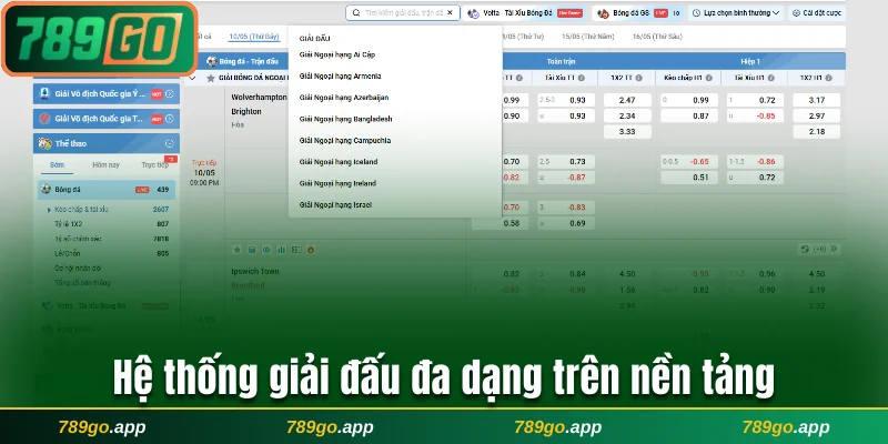 Hệ thống giải đấu đa dạng trên nền tảng