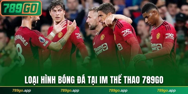 Loại hình bóng đá tại IM thể thao 789Go