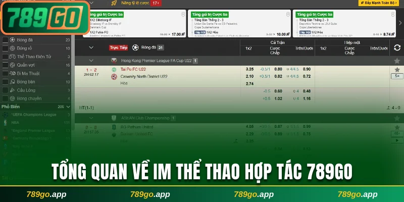 Tổng quan về IM thể thao hợp tác 789Go