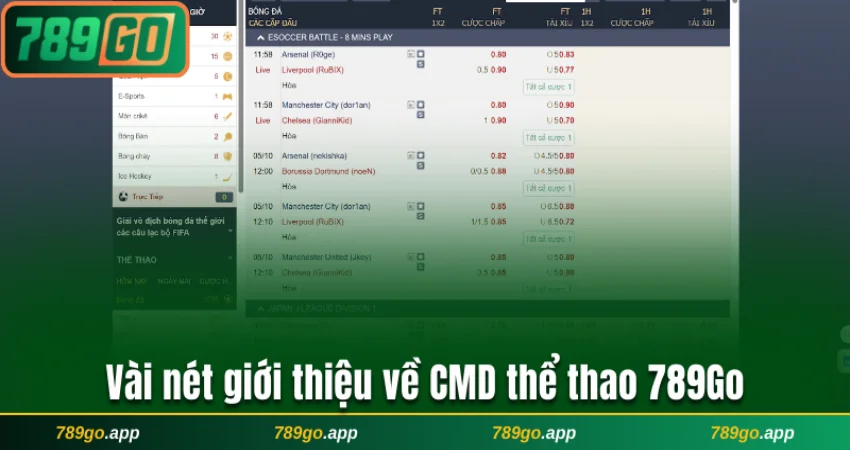Vài nét giới thiệu về CMD thể thao 789Go